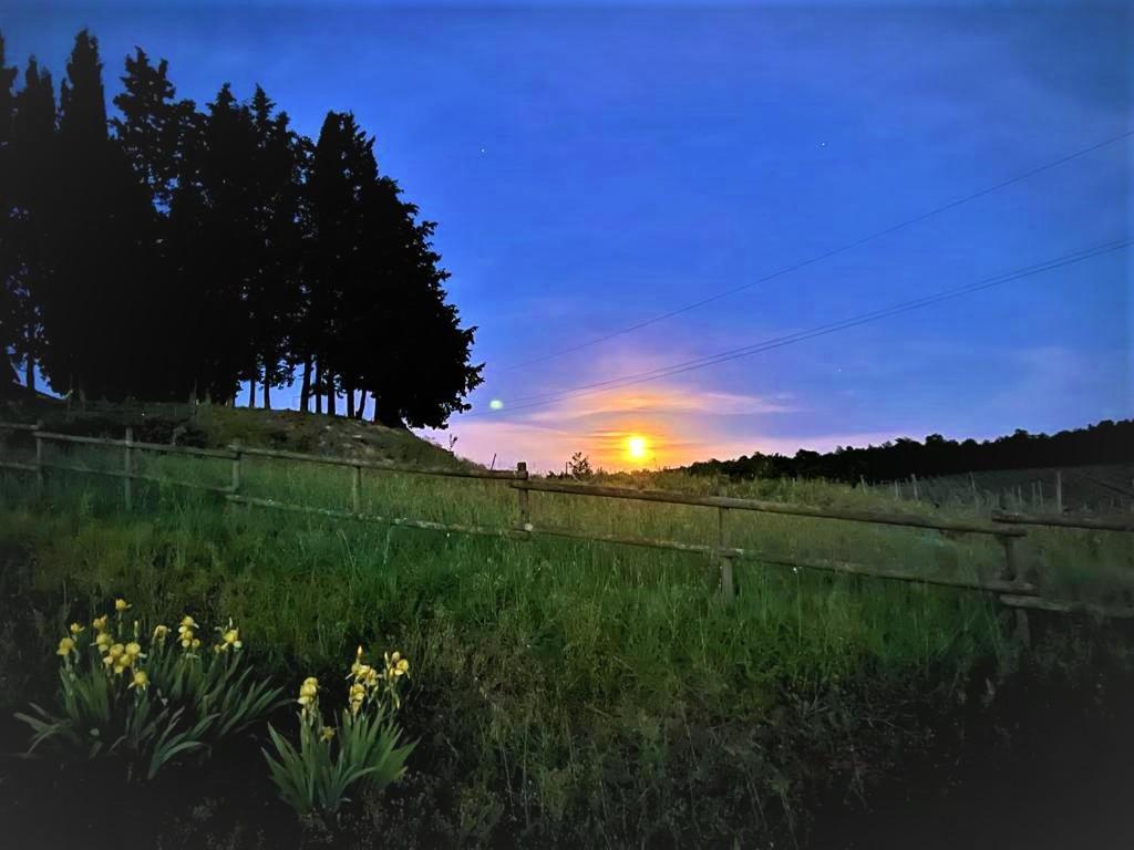 Podere La Selva Rapolano Terme Eksteriør bilde