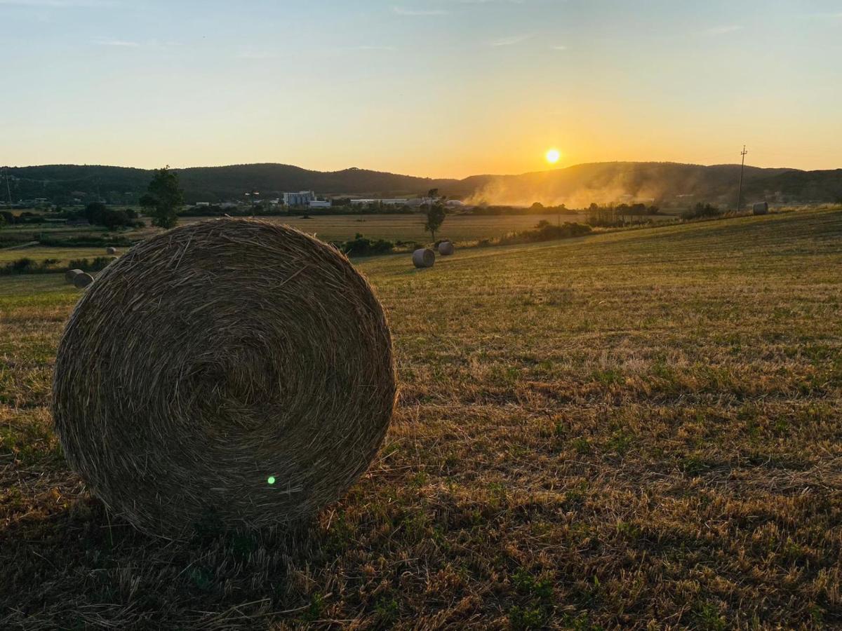 Podere La Selva Rapolano Terme Eksteriør bilde
