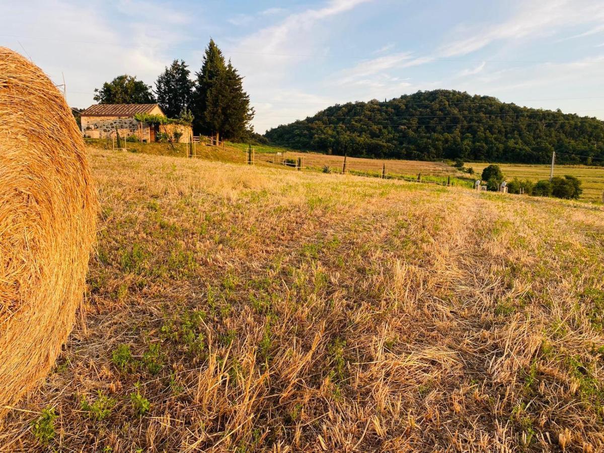 Podere La Selva Rapolano Terme Eksteriør bilde