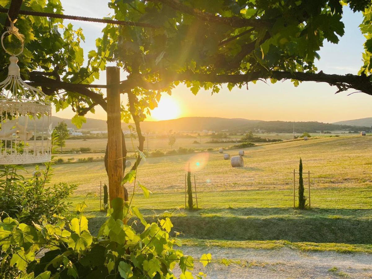 Podere La Selva Rapolano Terme Eksteriør bilde