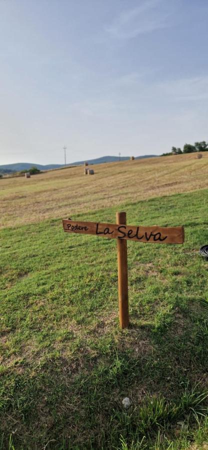 Podere La Selva Rapolano Terme Eksteriør bilde