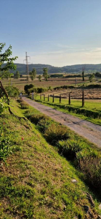 Podere La Selva Rapolano Terme Eksteriør bilde