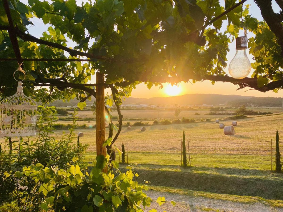 Podere La Selva Rapolano Terme Eksteriør bilde