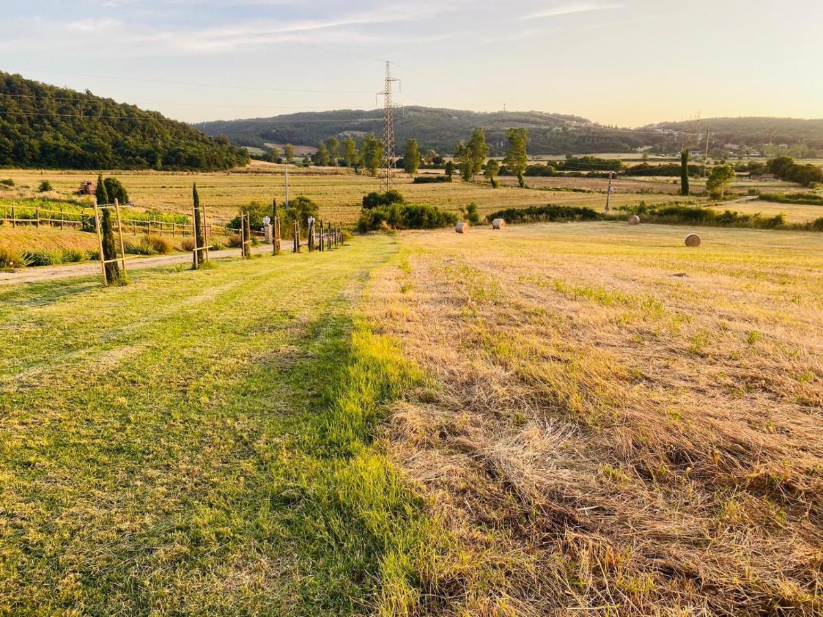 Podere La Selva Rapolano Terme Eksteriør bilde