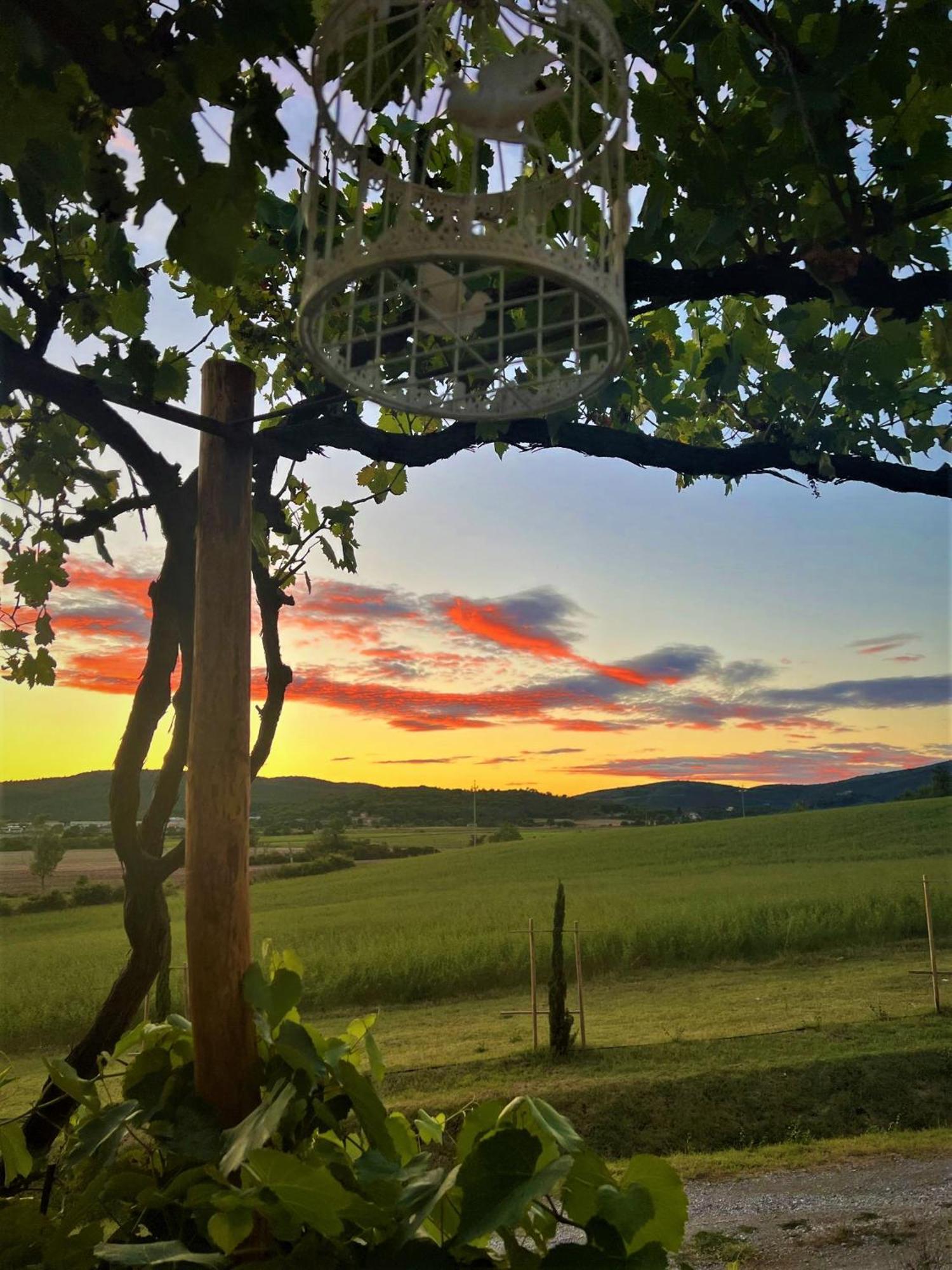 Podere La Selva Rapolano Terme Eksteriør bilde